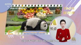 久久久久精品电影一区二区三区